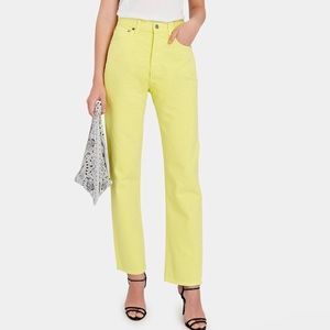 Agolde 90s Pinch Waist Jeans